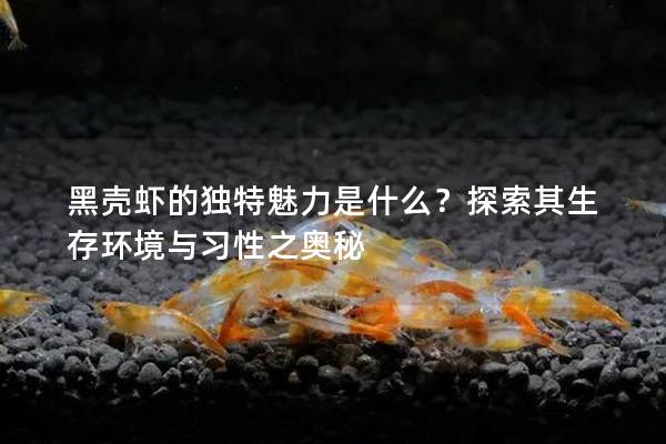 黑殼蝦的獨(dú)特魅力是什么？探索其生存環(huán)境與習(xí)性之奧秘